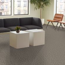 Load image into Gallery viewer, Indicator
