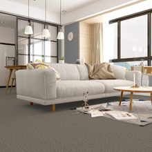 Load image into Gallery viewer, Overture
