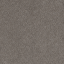 Load image into Gallery viewer, Encore
